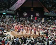 Welcome to my homepage