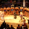 NO.3�@�����͎m�y�U����